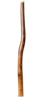 Wix Stix Didgeridoo (WS209)